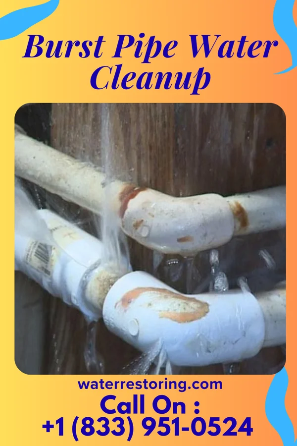 Burst Pipe Water Cleanup in Connelly Springs, NC