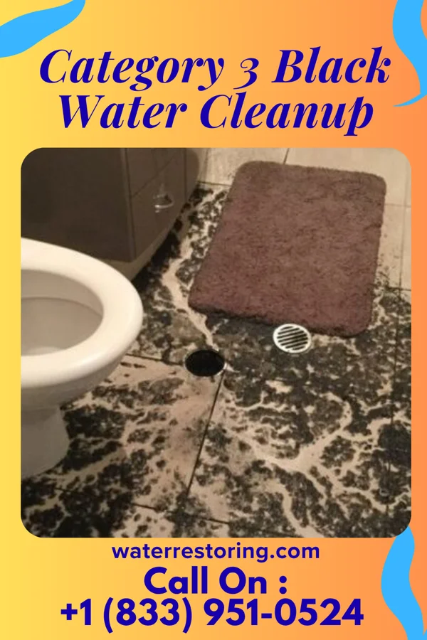 Category 3 Black Water Cleanup in Connelly Springs, NC