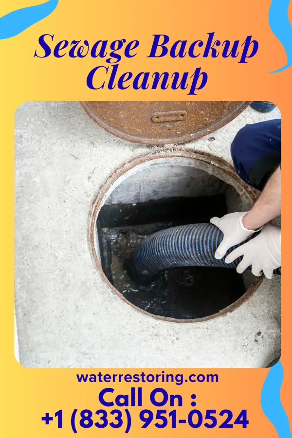 Sewage Backup Cleanup in Connelly Springs, NC